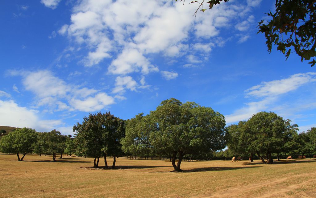 z3f_0183.jpg