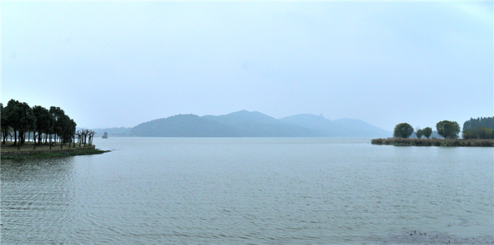 dsc_0113_.jpg