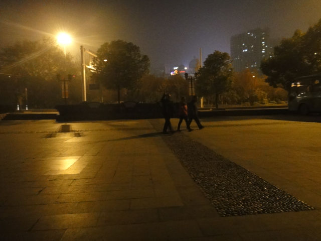 dsc07996.jpg
