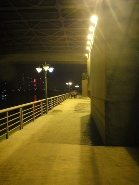 dsc07923.jpg