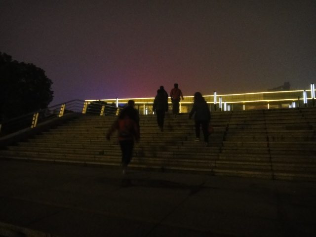 dsc08088.jpg