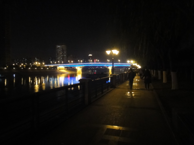 dsc08067.jpg