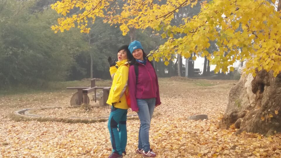 qqͼƬ20151227101713.jpg