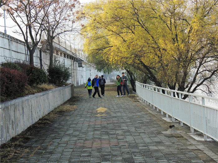 dscn4672_.jpg