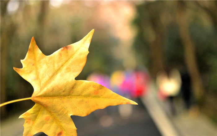 dsc_0749_.jpg
