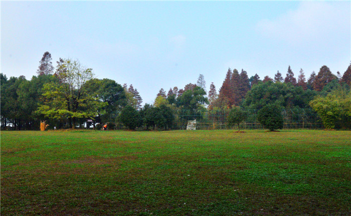 dsc_0715_.jpg