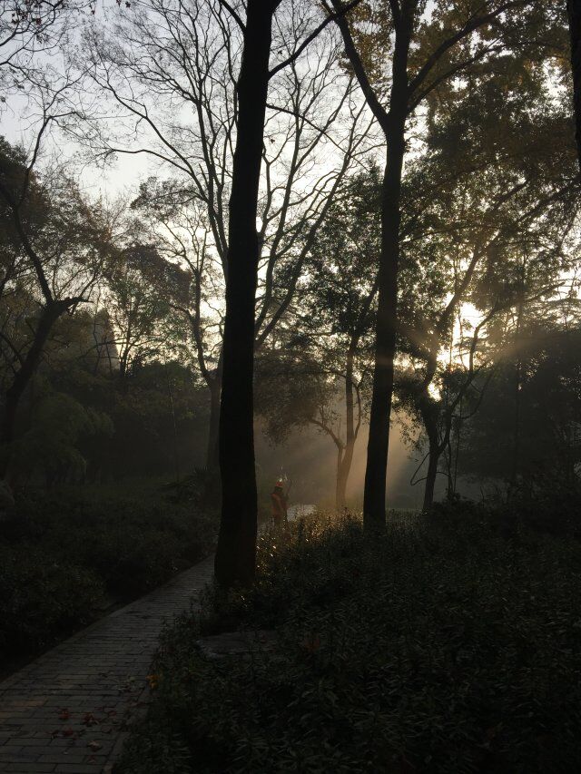 qqͼƬ20151207090812.jpg