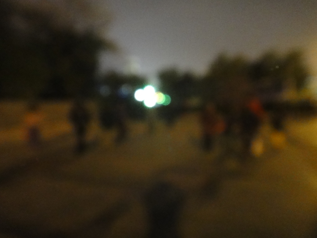 dsc07984.jpg