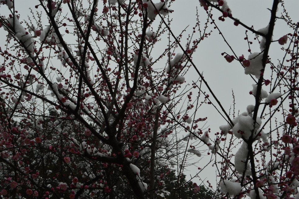 qqͼƬ20150202210147.jpg