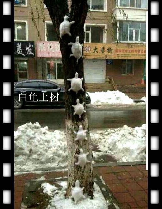 qqͼƬ20150202210533.jpg