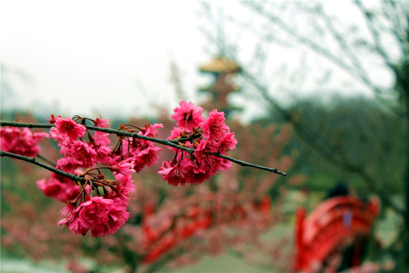 img_9697__.jpg