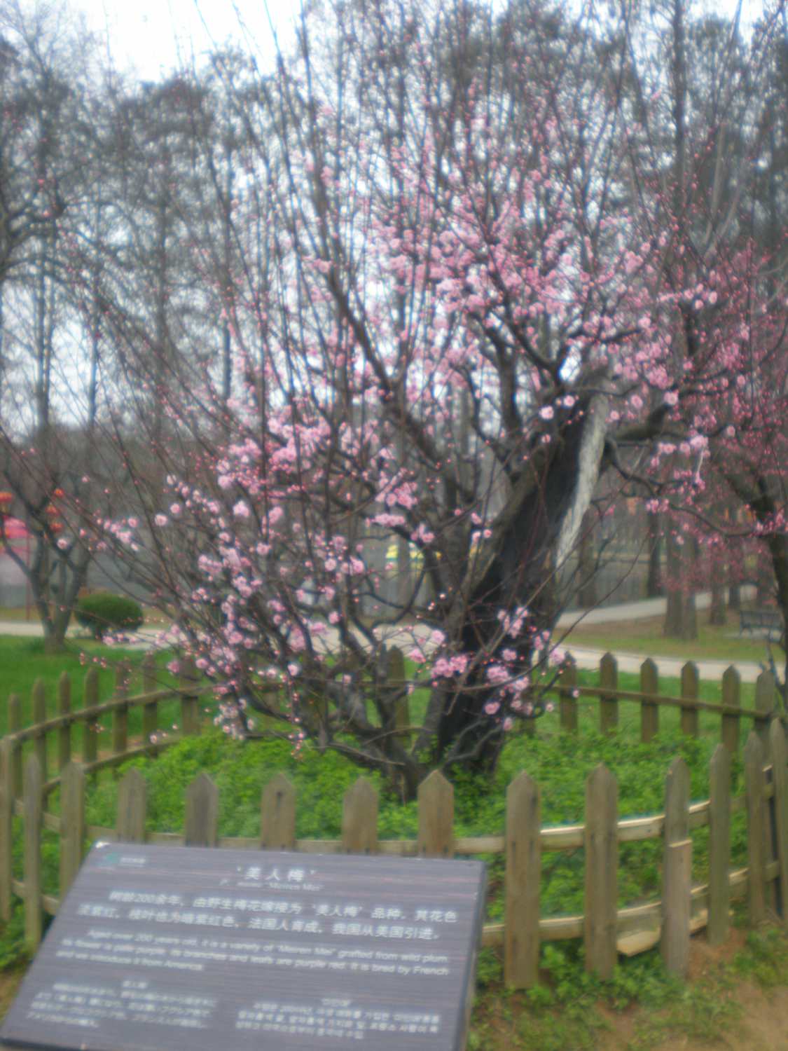 p3080006.jpg