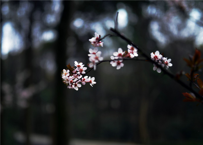 dsc_1036_.jpg