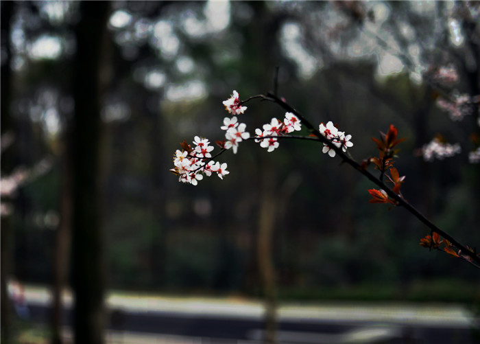 dsc_1037_.jpg