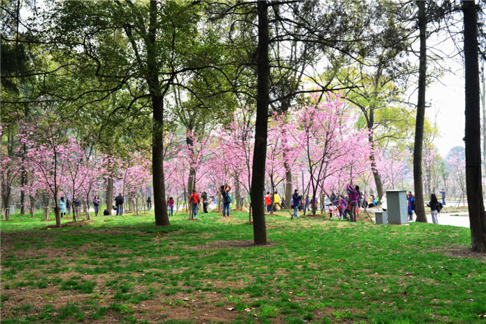 dsc_1048_.jpg