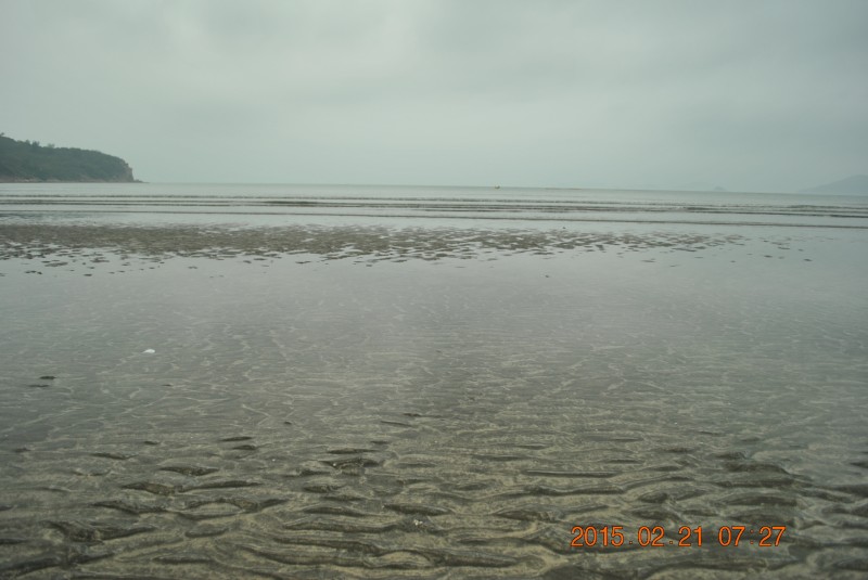 conew_dsc_0630.jpg