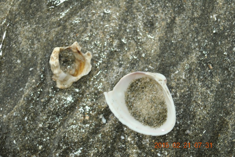 conew_dsc_0634.jpg