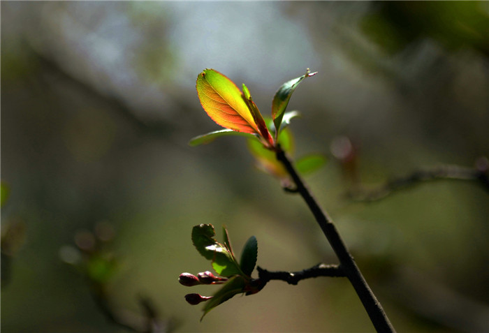 dsc_1188__.jpg