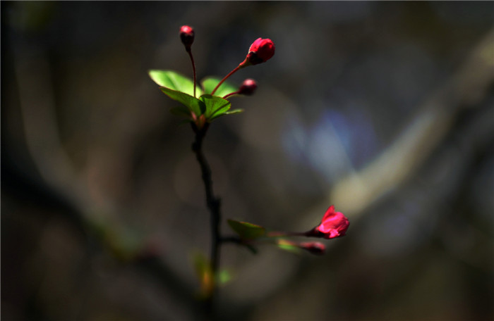 dsc_1191_.jpg
