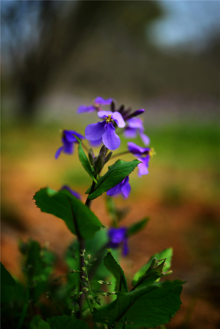 dsc_1198_.jpg