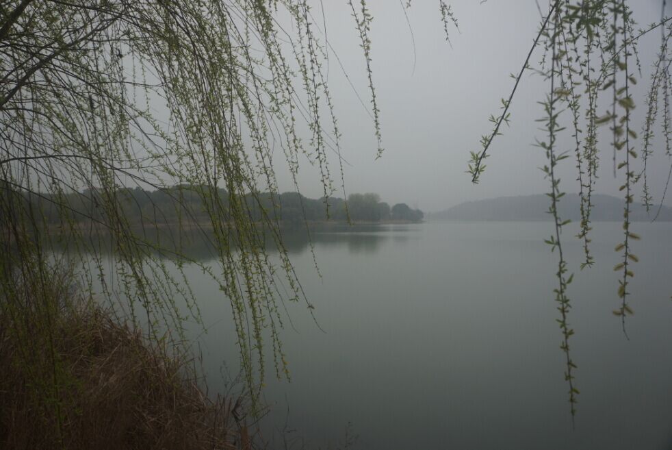 04.jpg