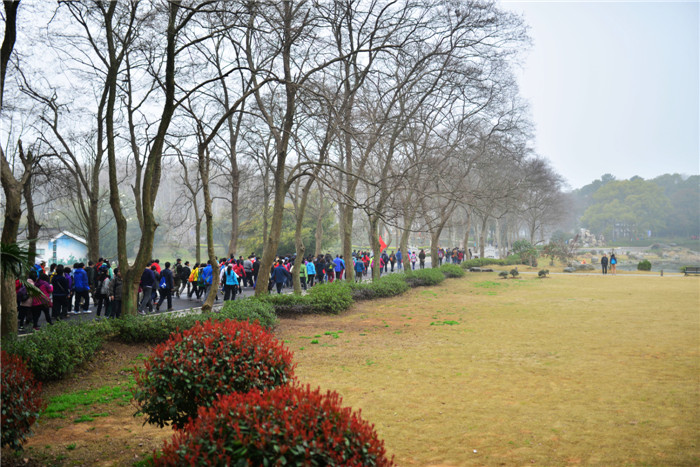 dsc_1264_.jpg