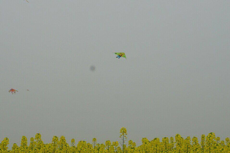 qqͼƬ20150316225650.jpg