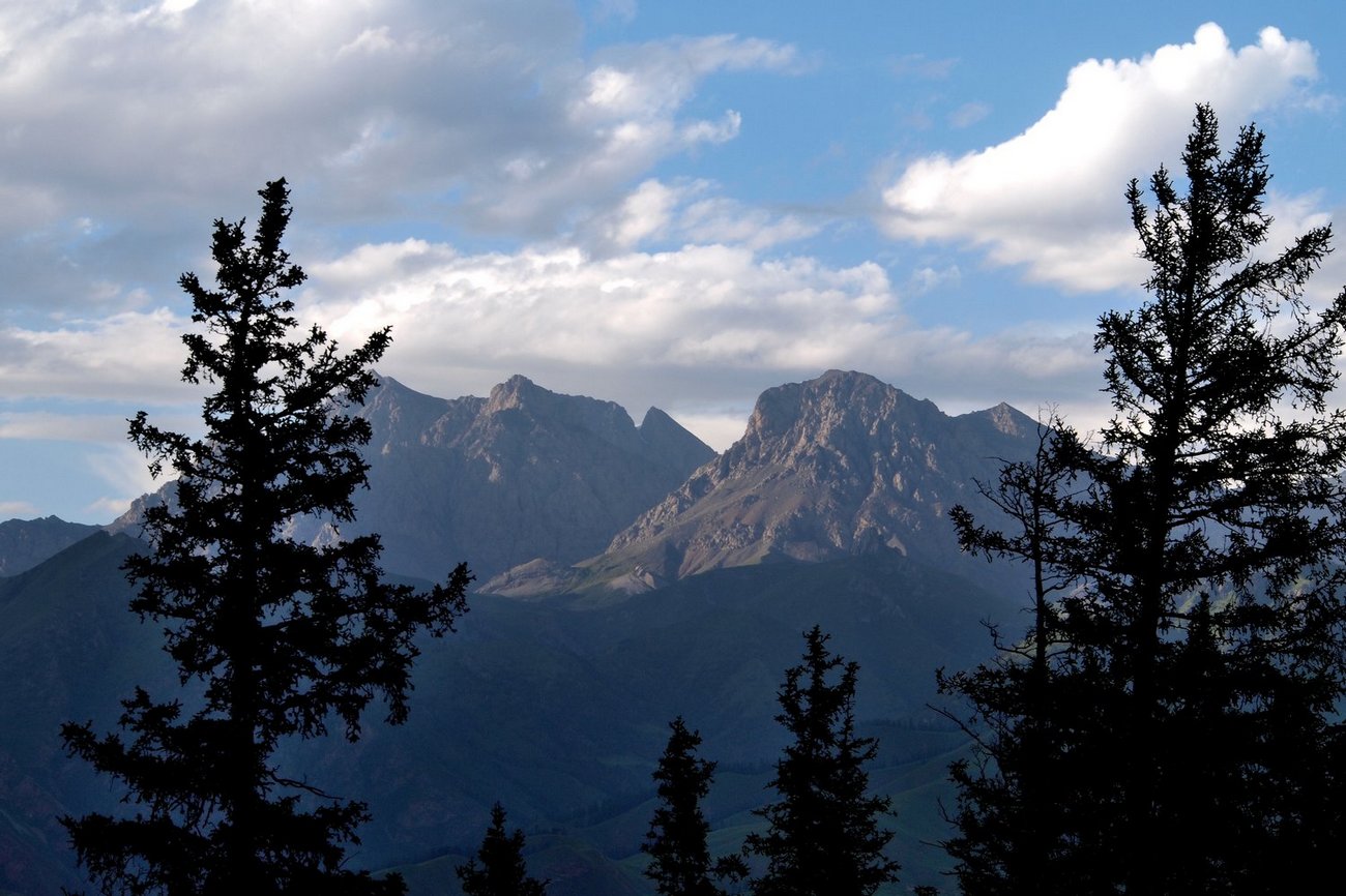 k1309952.jpg