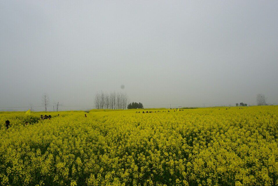 qqͼƬ20150318205139.jpg
