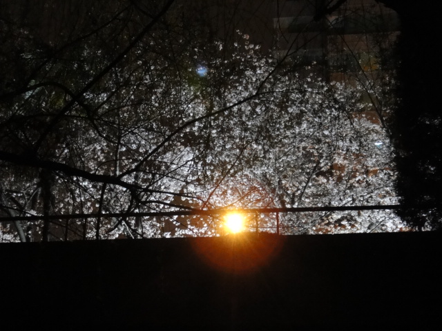 dsc05819.jpg