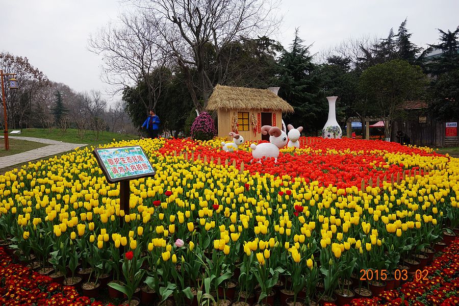 neo_img_dsc00833.jpg