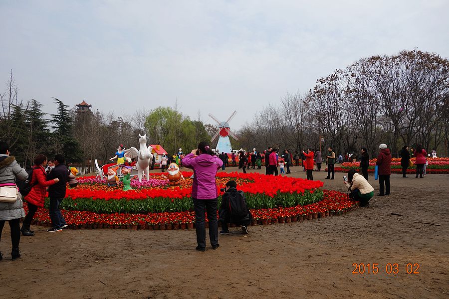 neo_img_dsc00830.jpg