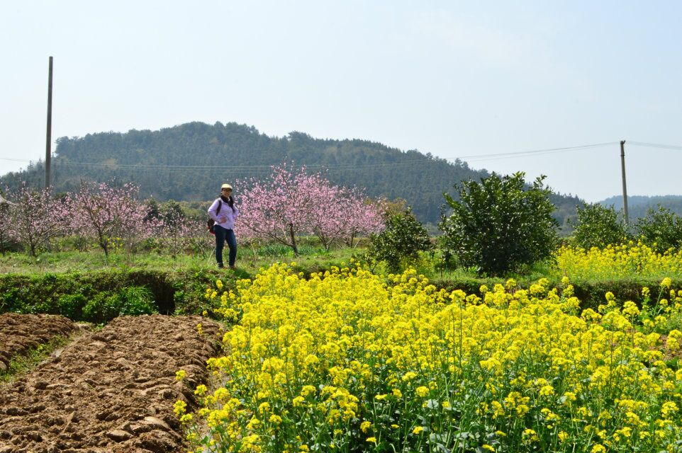 qqͼƬ20150323220117.jpg