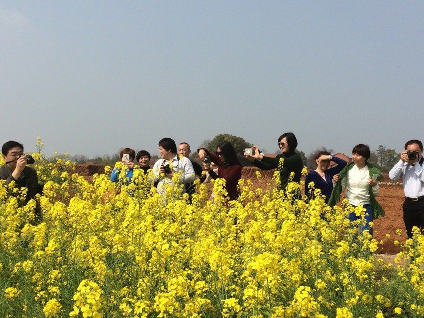 qqͼƬ20150324071507.jpg