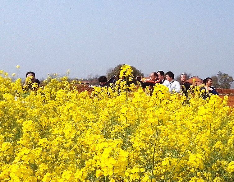 qqͼƬ20150324071222.jpg