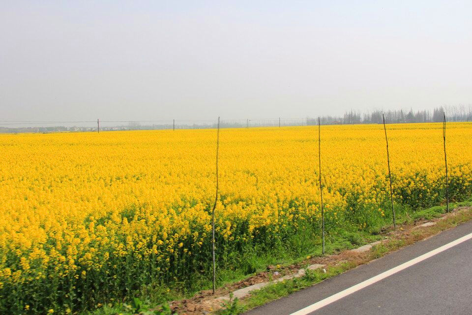 qqͼƬ20150323092620.jpg