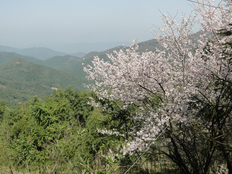 dsc04536_.jpg