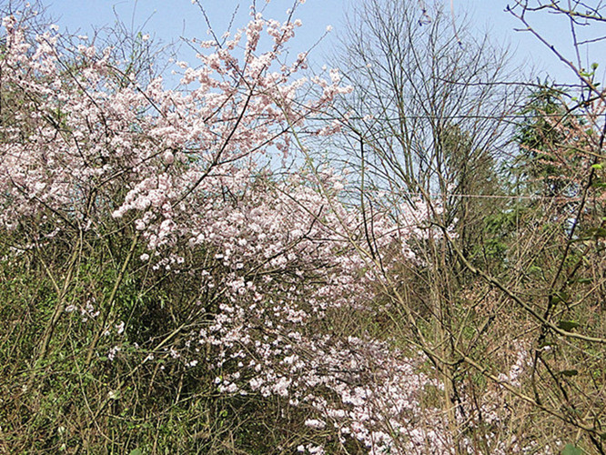 dsc04526_.jpg