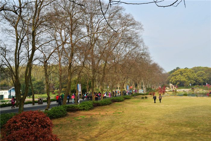 dsc_2248_.jpg