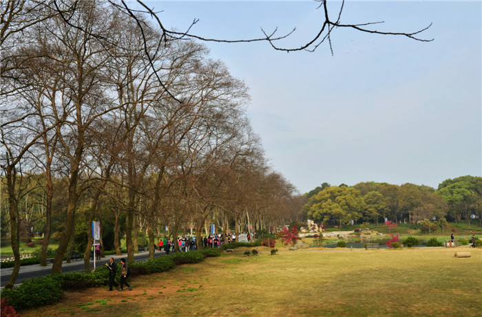 dsc_2250_.jpg