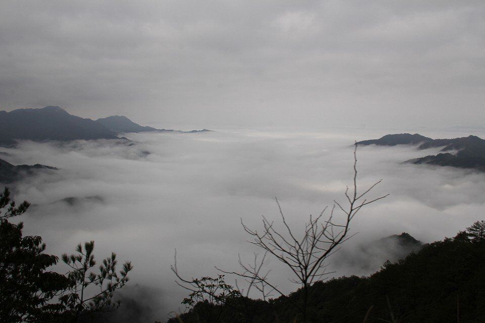 qqͼƬ20150305011216.jpg