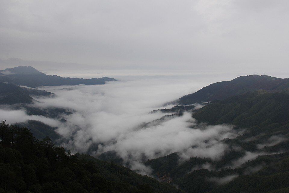 qqͼƬ20150305011340.jpg