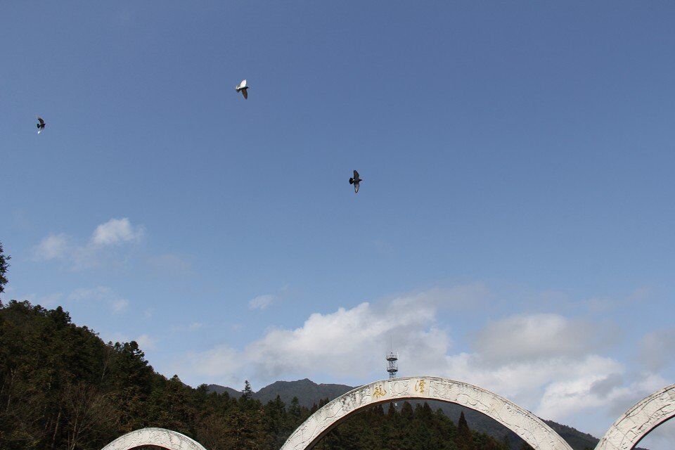 qqͼƬ20150305011552.jpg