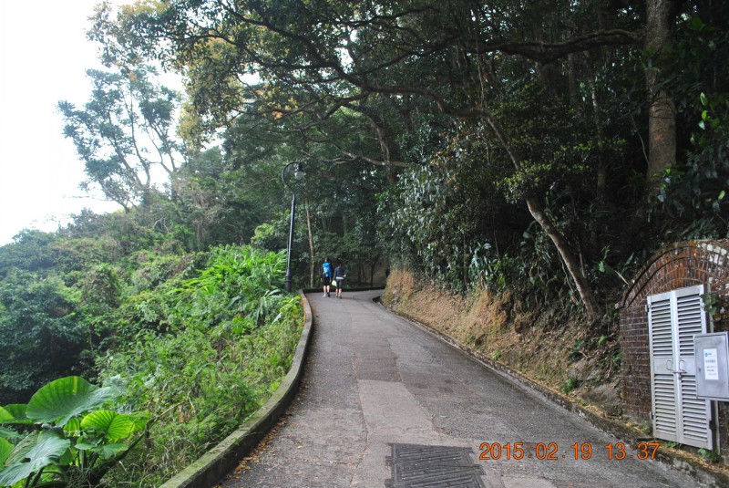 conew_dsc_0406.jpg