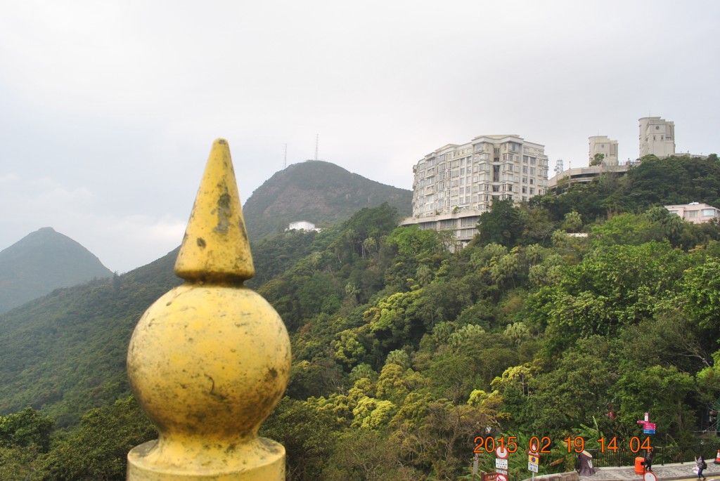 conew_dsc_0412.jpg