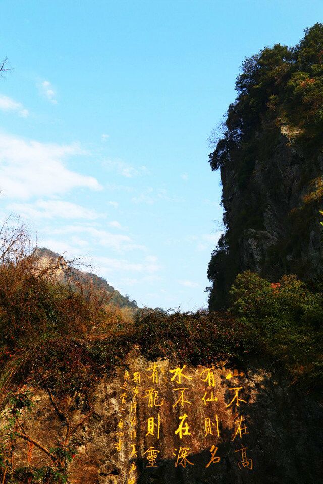 qqͼƬ20150410222012.jpg