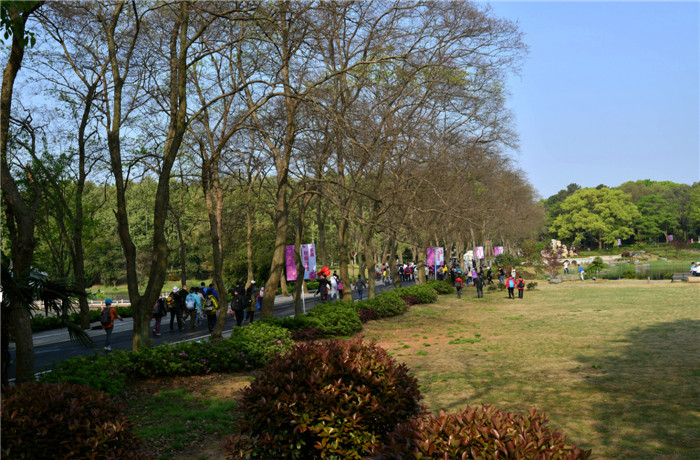 dsc_2743_.jpg