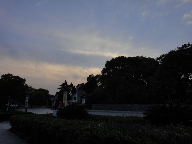 dsc05997.jpg