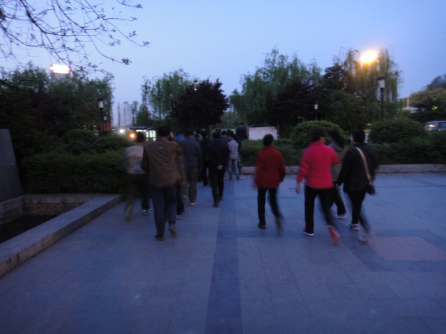 dsc06015.jpg