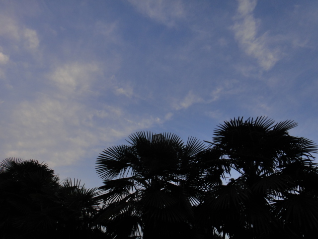 dsc05995.jpg